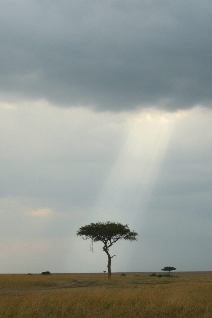 nhung ngay o Kenya -